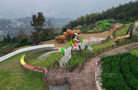 溫州文(wén)成(cheng)縣九龍山(shān)茶趣樂園
